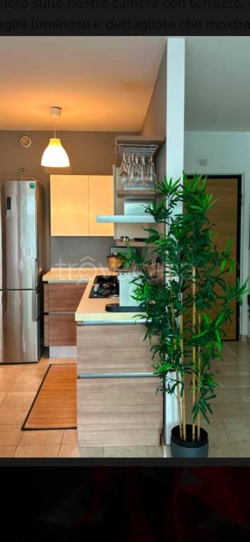 immagine annuncio 1 di 4