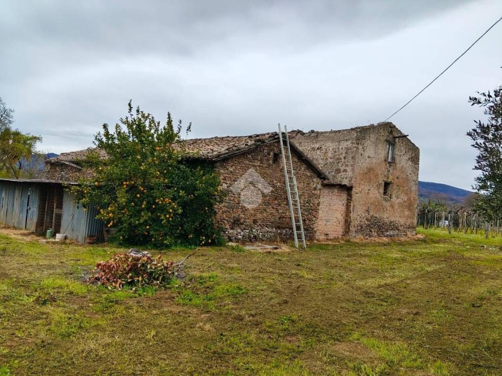 immagine annuncio 10 di 11