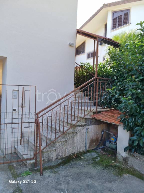 immagine annuncio 3 di 6