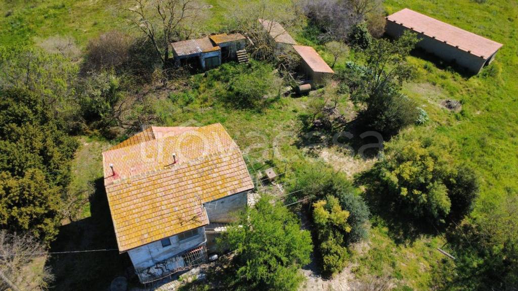 immagine annuncio 4 di 9