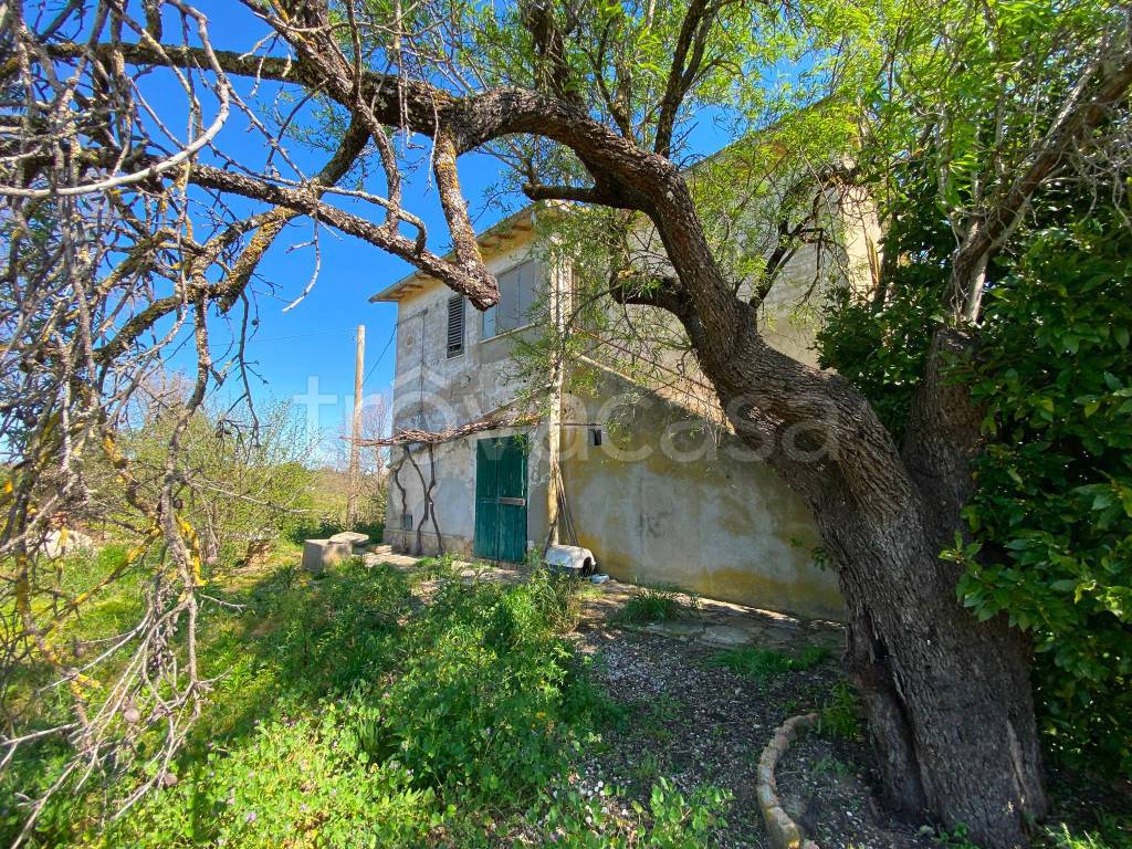 immagine annuncio 7 di 9