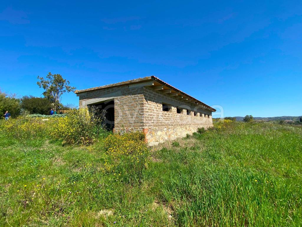 immagine annuncio 8 di 9