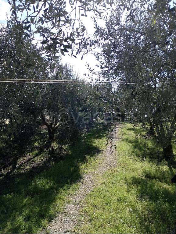 immagine annuncio 3 di 9