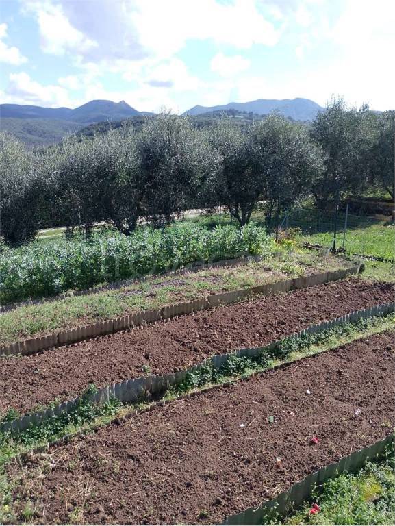 immagine annuncio 4 di 9