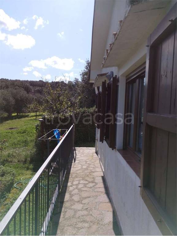 immagine annuncio 8 di 9