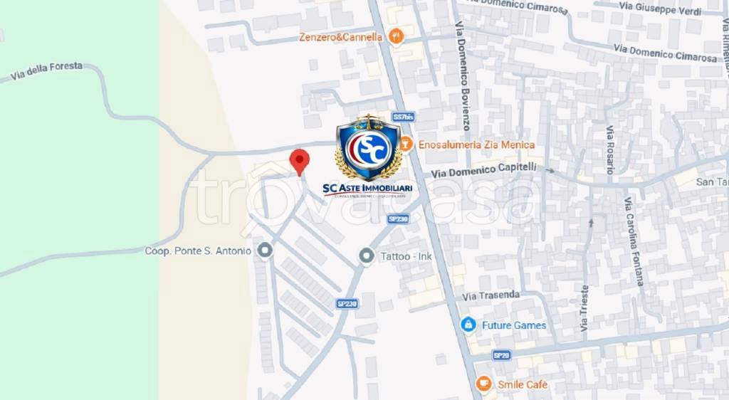 immagine annuncio 10 di 11