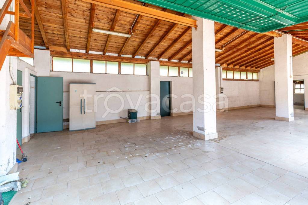 immagine annuncio 3 di 14