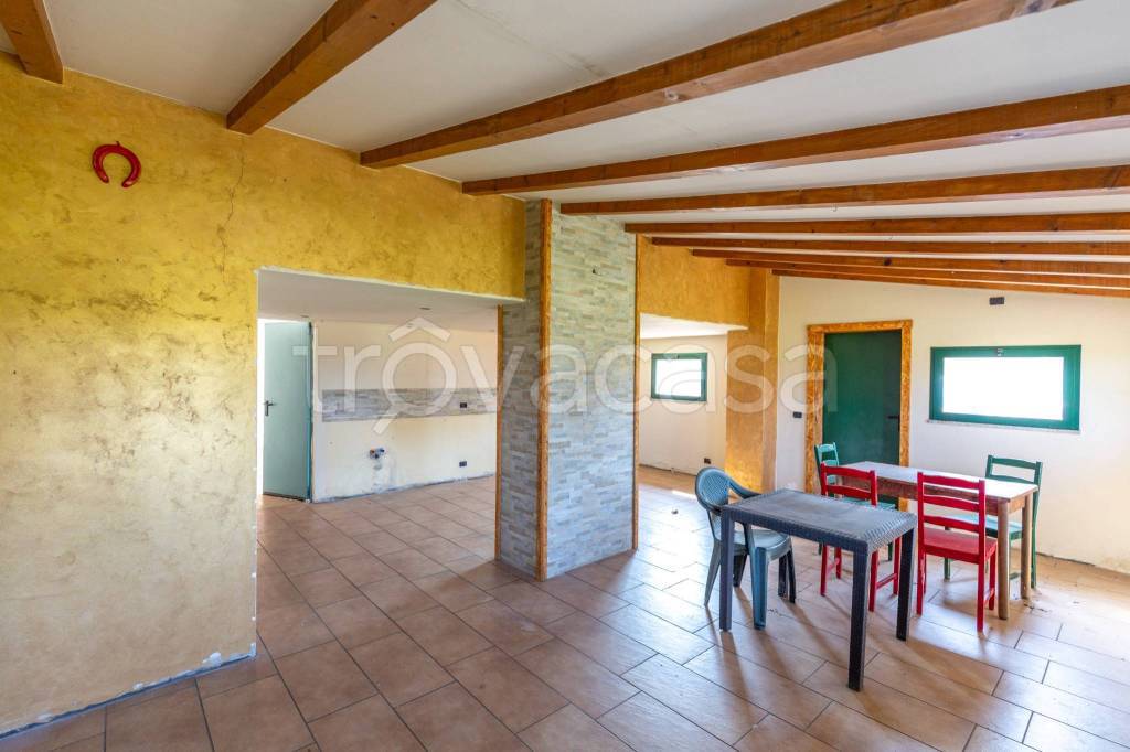 immagine annuncio 4 di 14