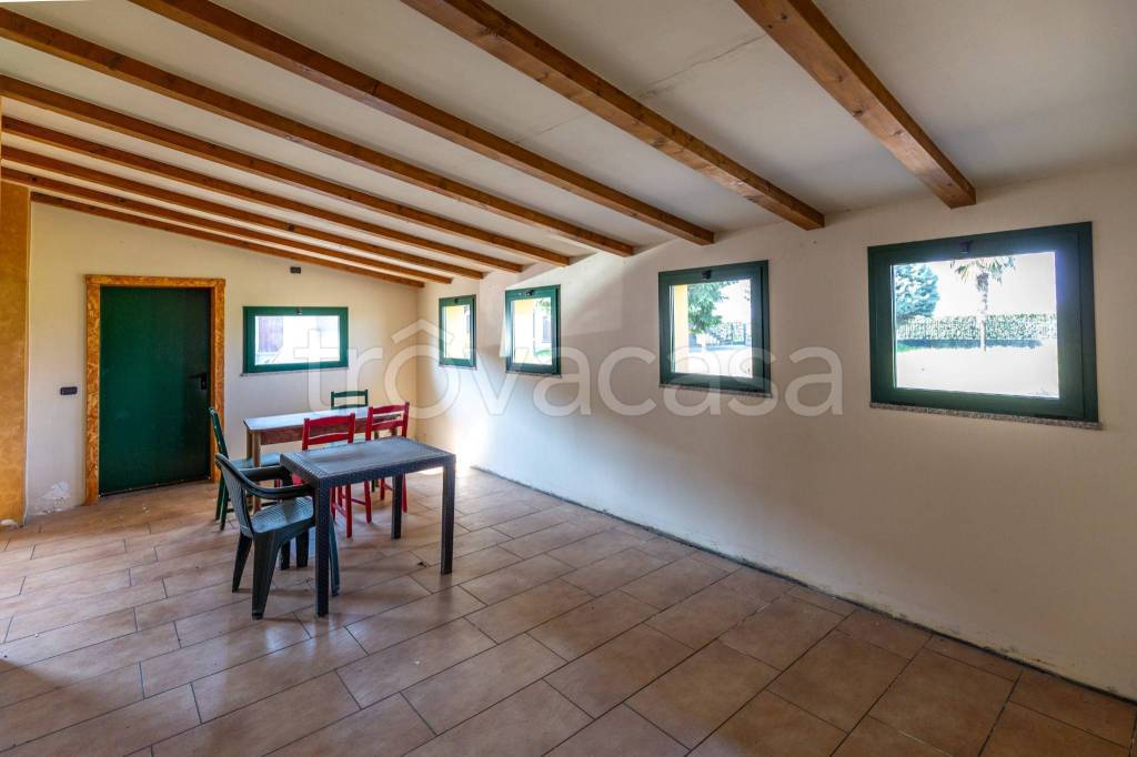 immagine annuncio 5 di 14