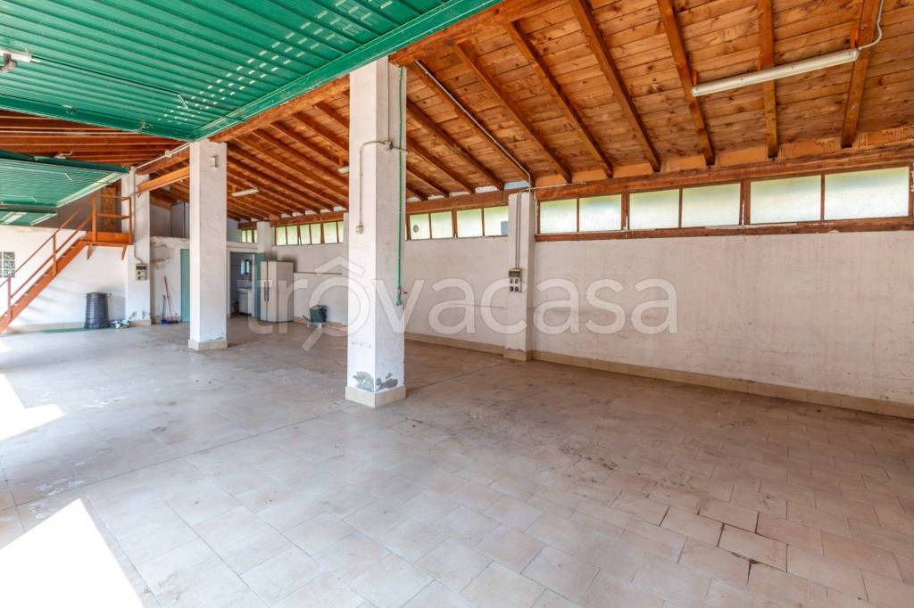 immagine annuncio 6 di 14