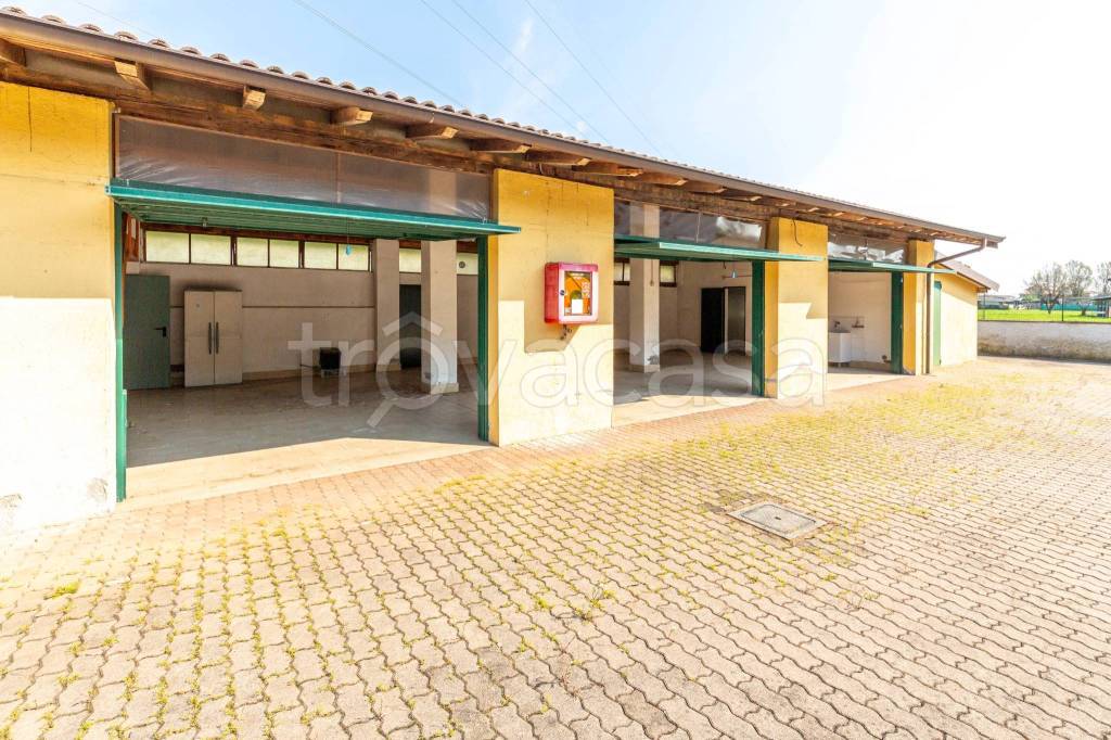 immagine annuncio 8 di 14