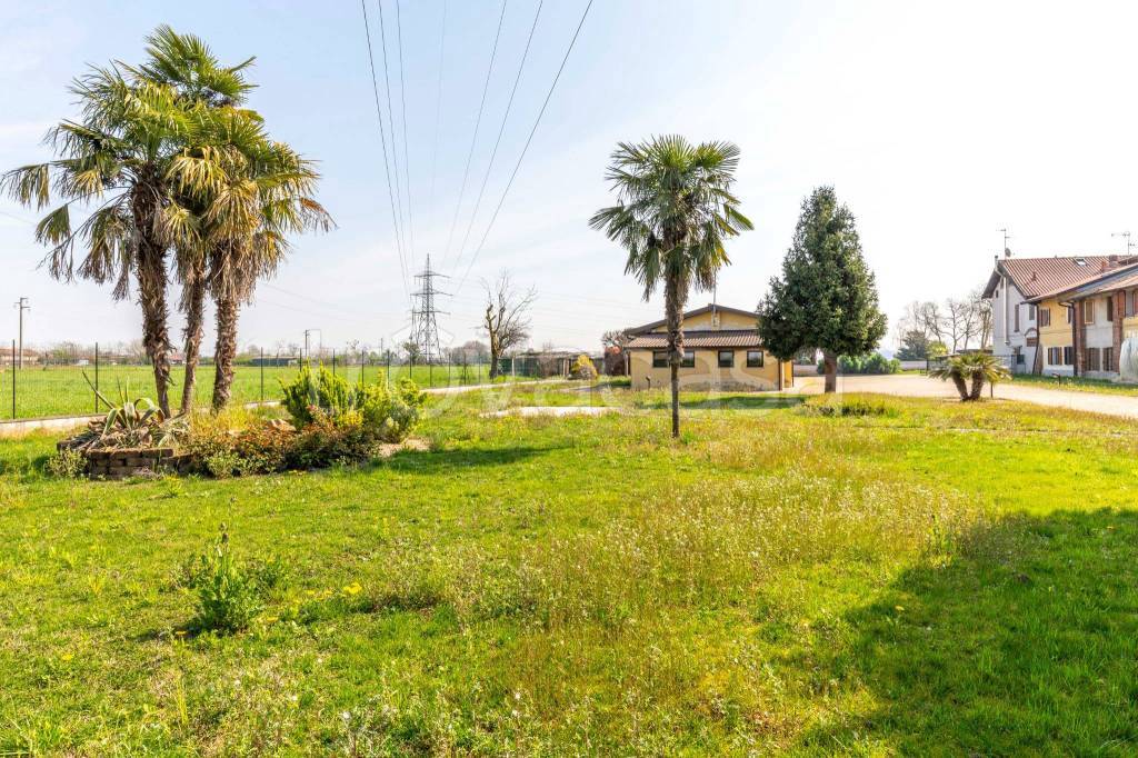 immagine annuncio 9 di 14