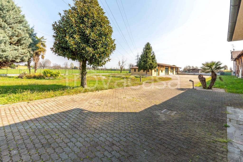 immagine annuncio 10 di 14