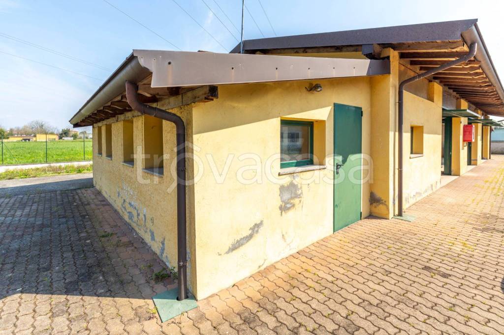 immagine annuncio 11 di 14