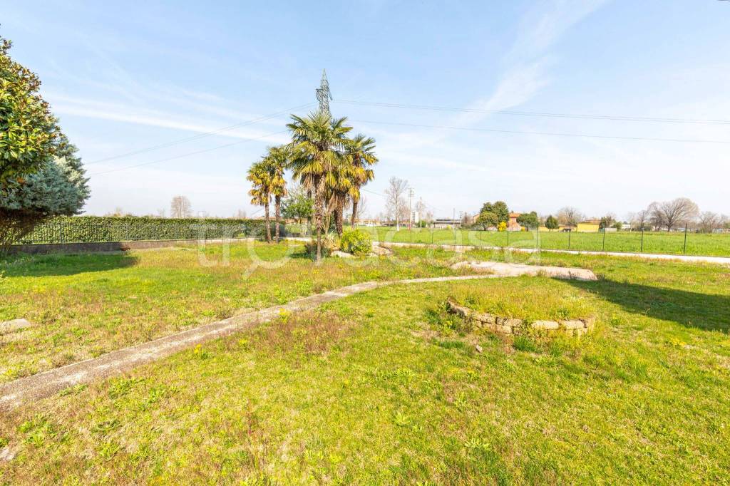 immagine annuncio 12 di 14