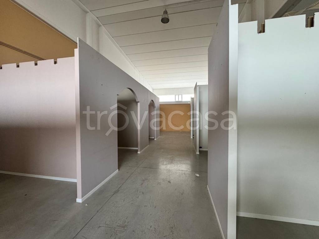 immagine annuncio 3 di 7