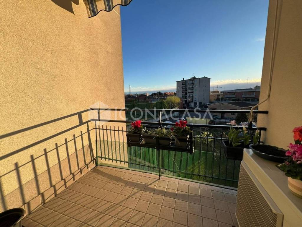 immagine annuncio 3 di 12