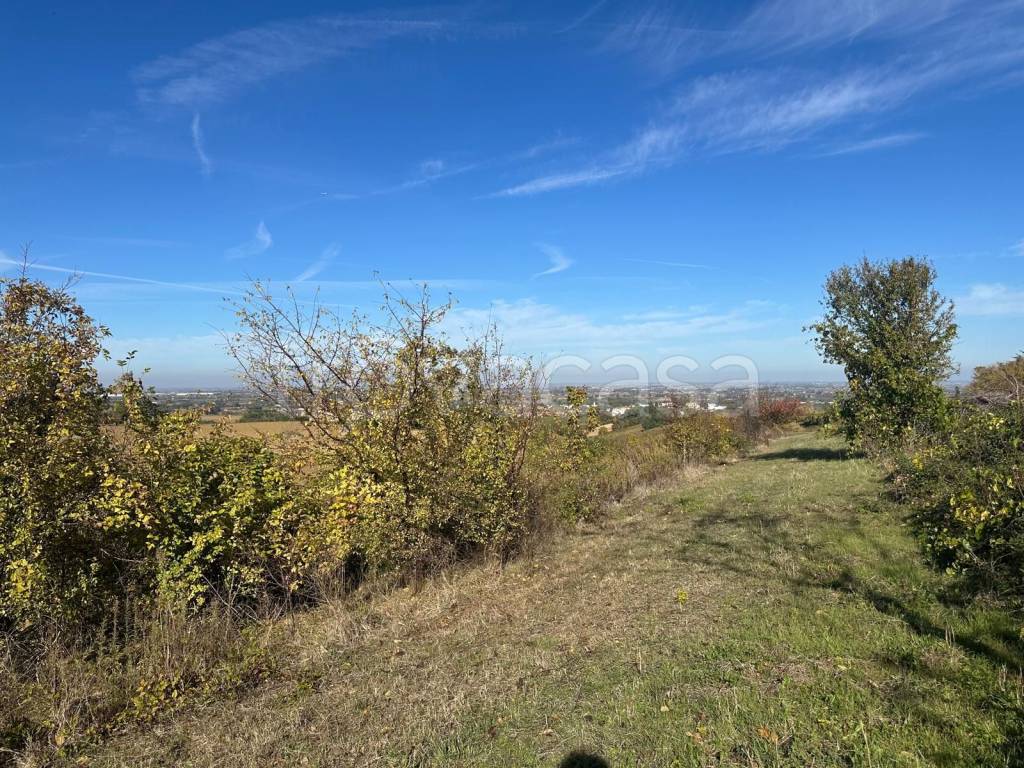 immagine annuncio 3 di 7