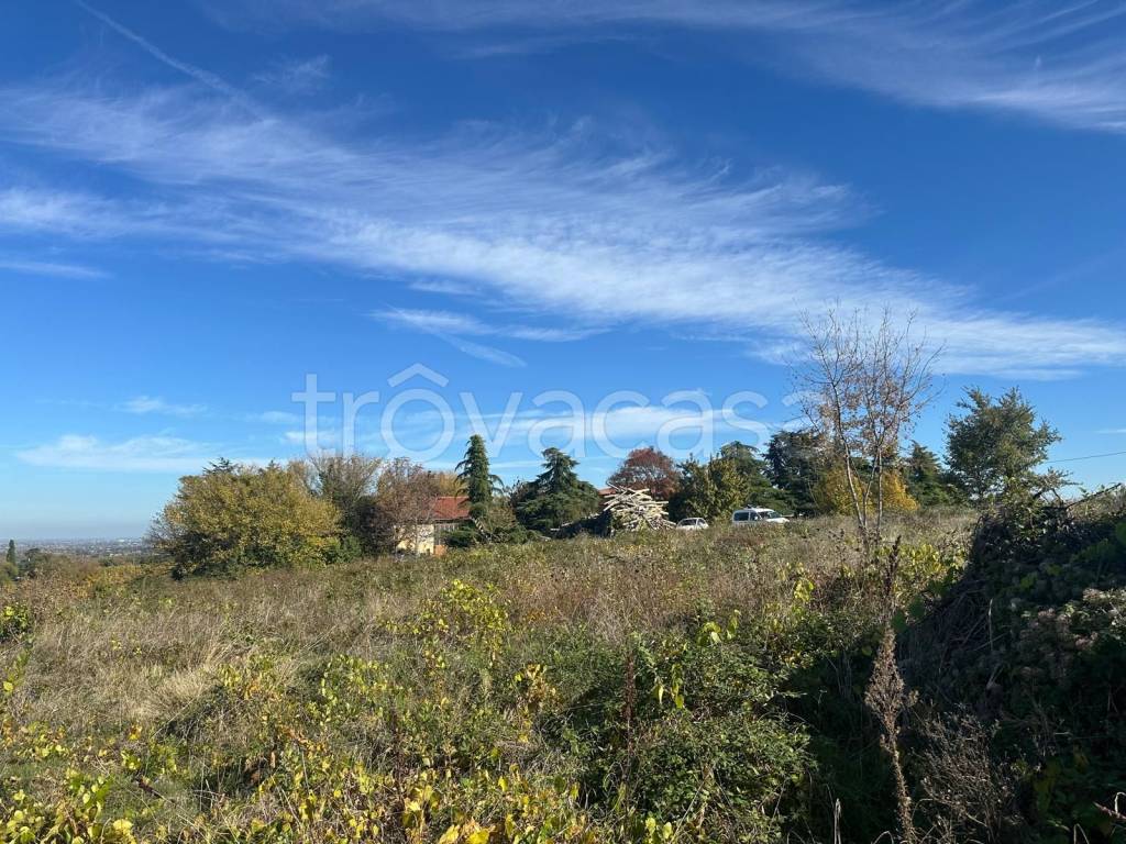 immagine annuncio 4 di 7