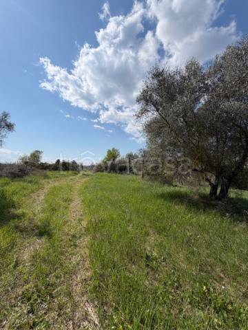 immagine annuncio 7 di 8