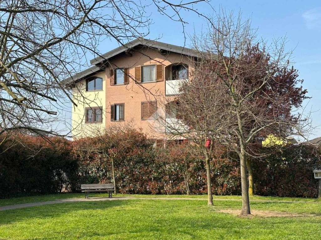 immagine annuncio 1 di 15