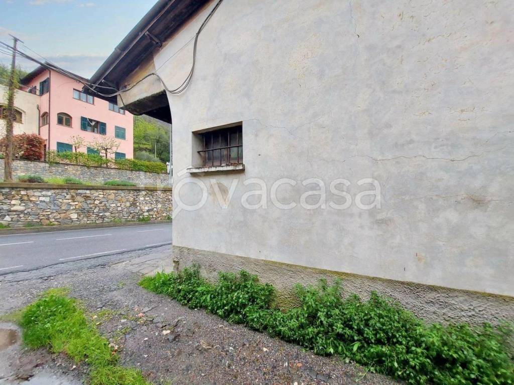 immagine annuncio 5 di 14