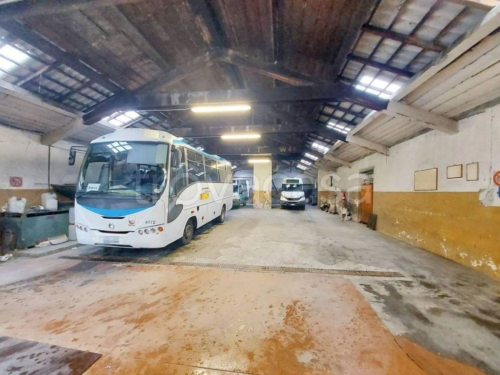 immagine annuncio 12 di 14