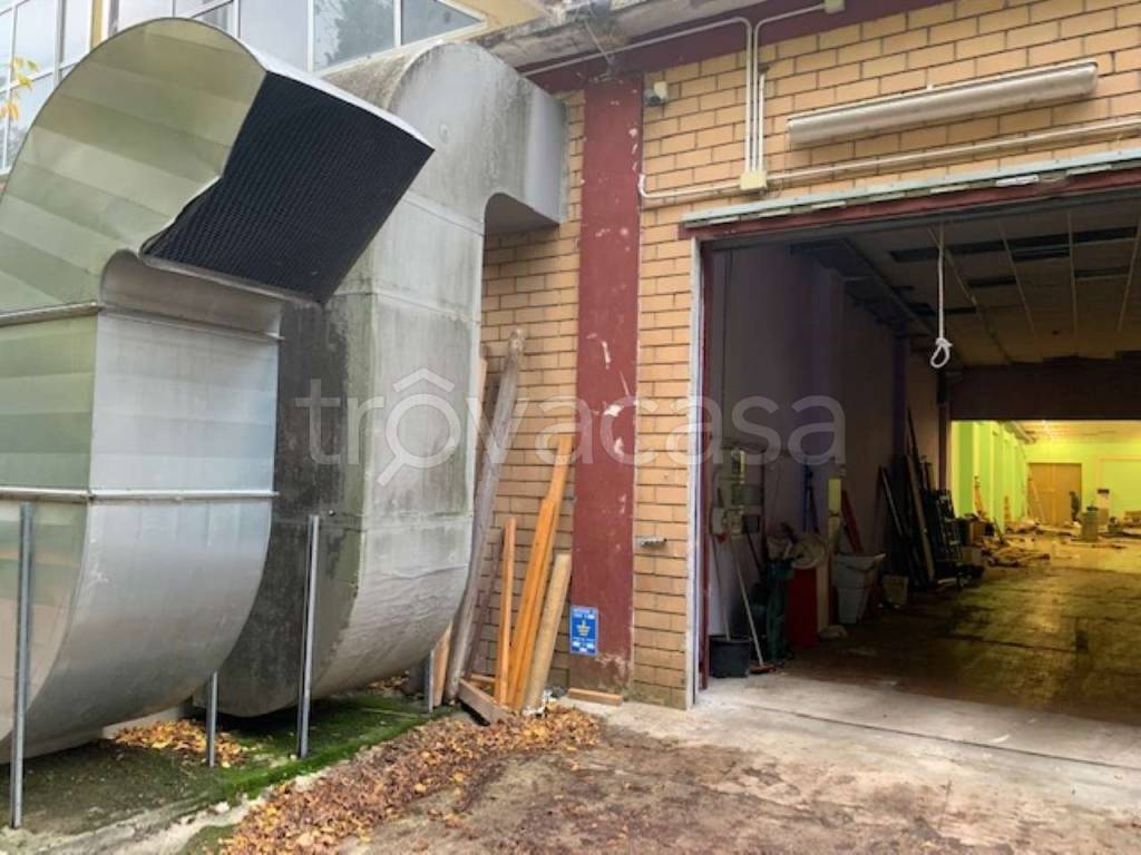 immagine annuncio 2 di 12