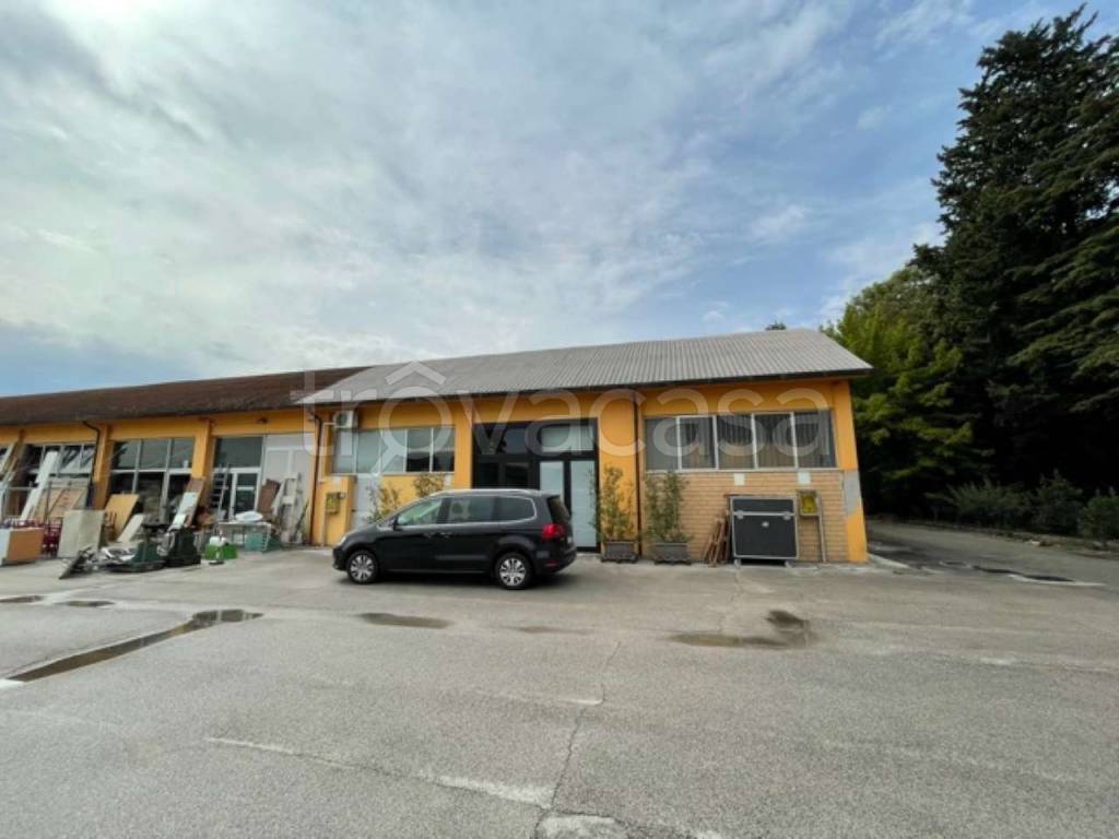 immagine annuncio 5 di 12