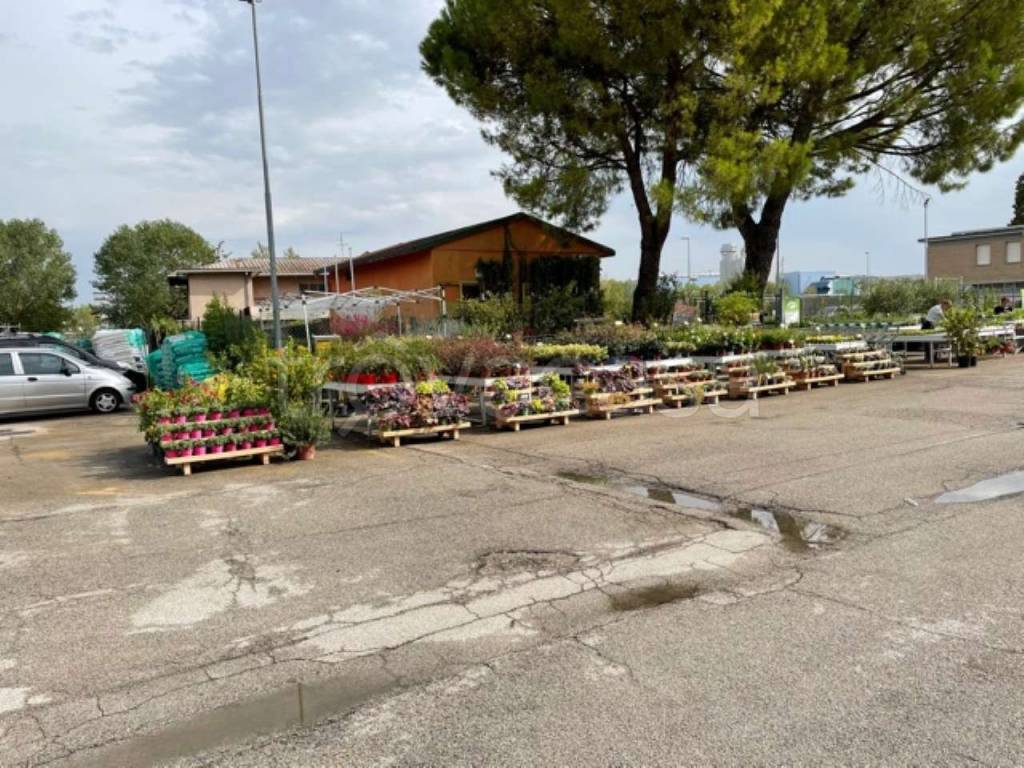 immagine annuncio 6 di 12