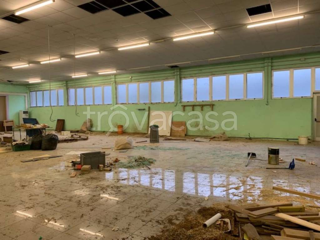 immagine annuncio 7 di 12