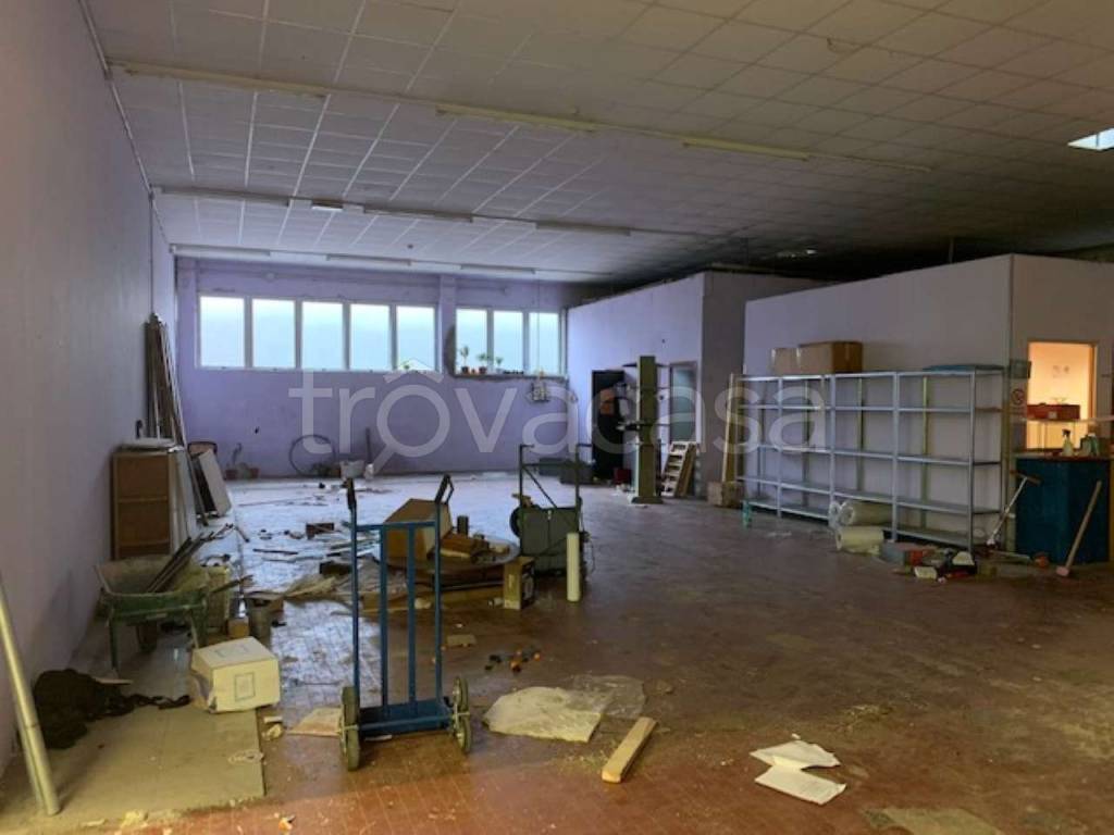 immagine annuncio 8 di 12