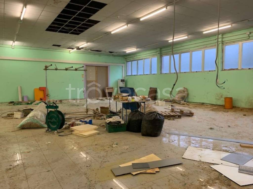 immagine annuncio 10 di 12