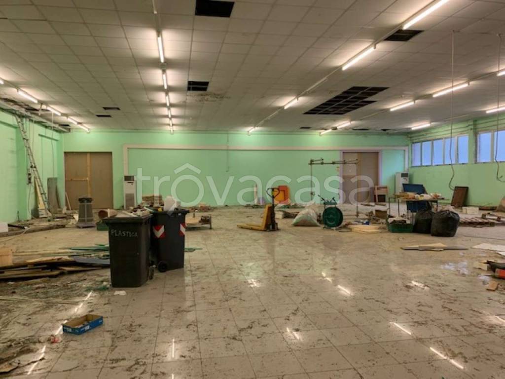 immagine annuncio 11 di 12