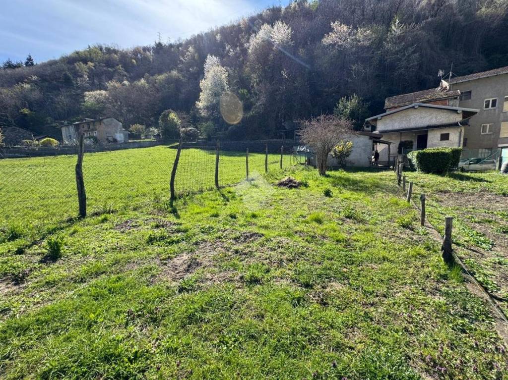 immagine annuncio 10 di 12