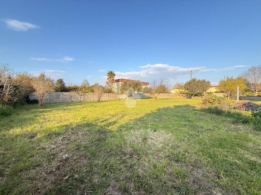 immagine annuncio 1 di 8