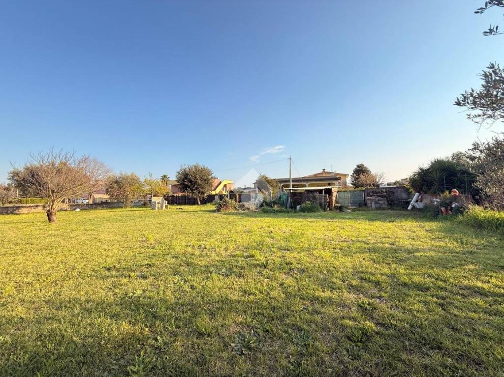 immagine annuncio 2 di 8