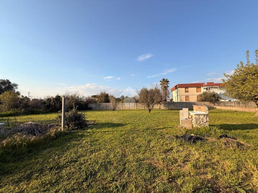 immagine annuncio 3 di 8