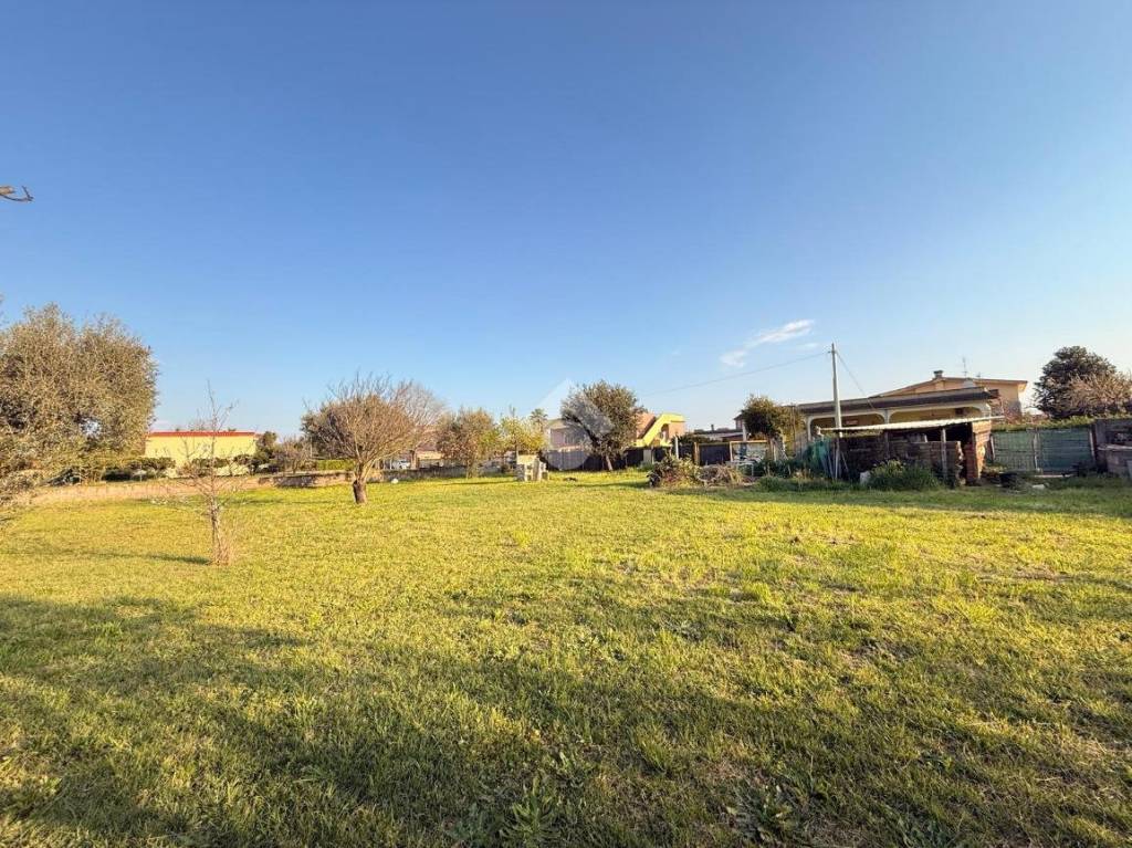 immagine annuncio 4 di 8