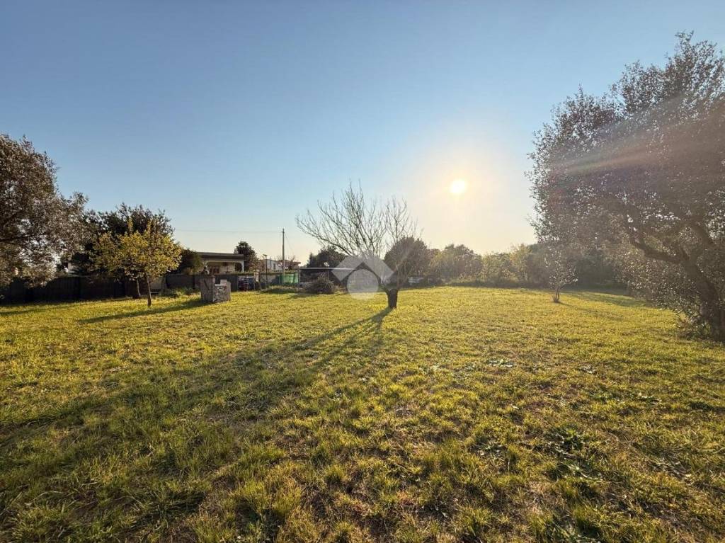 immagine annuncio 5 di 8