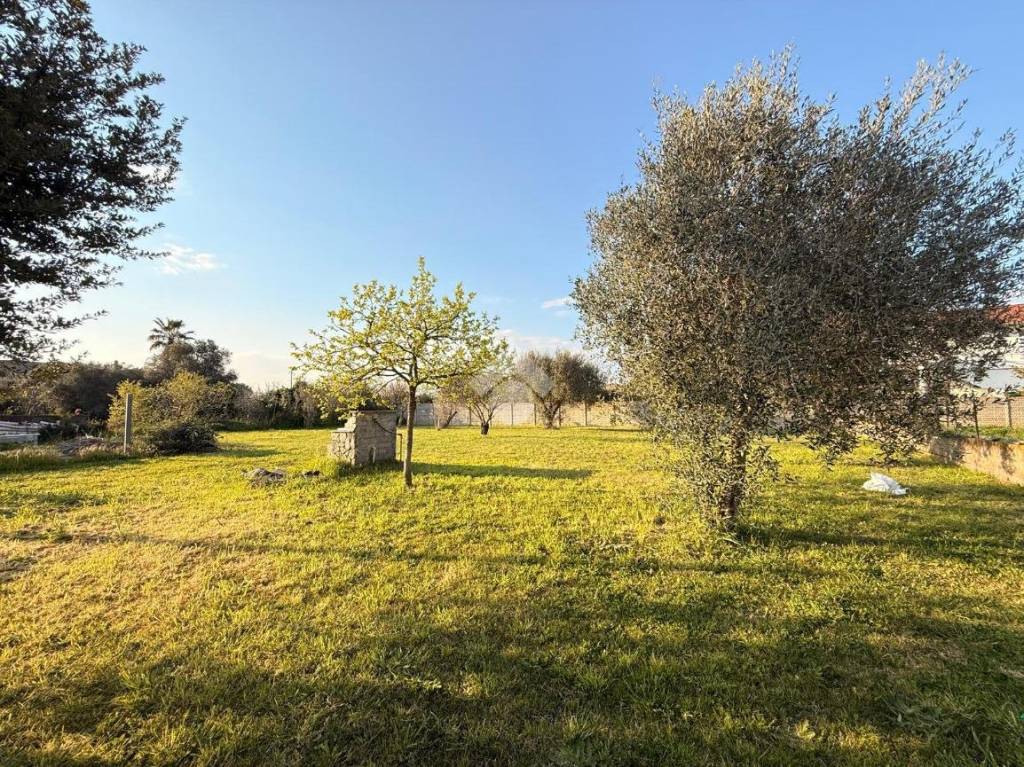 immagine annuncio 6 di 8