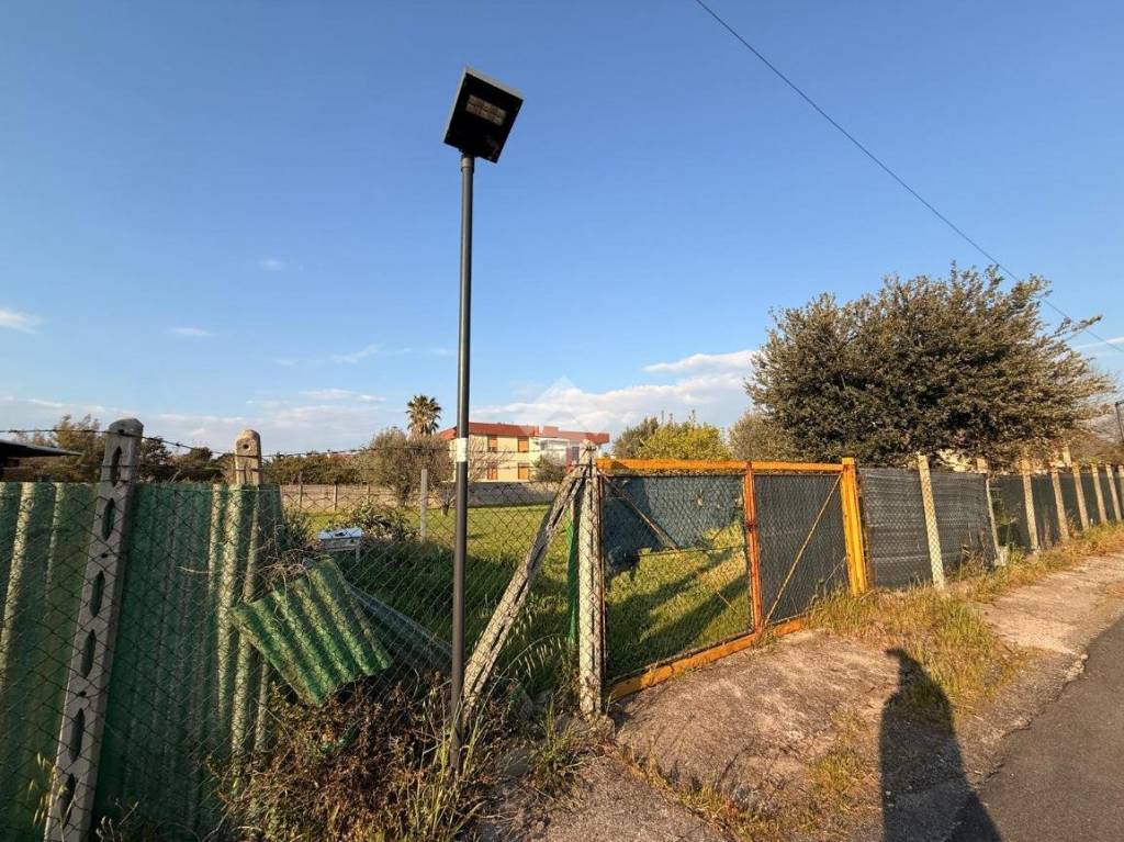 immagine annuncio 7 di 8