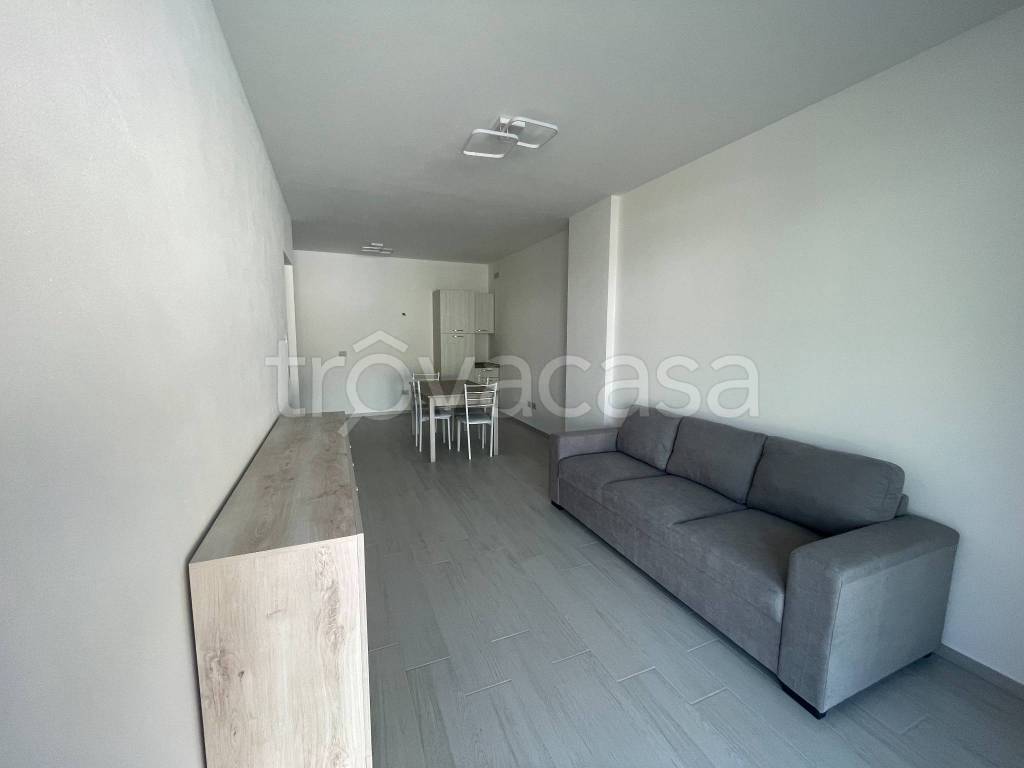 immagine annuncio 9 di 12