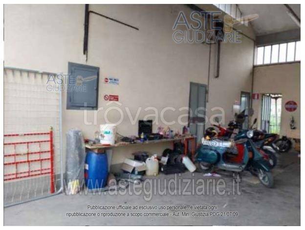 immagine annuncio 12 di 15