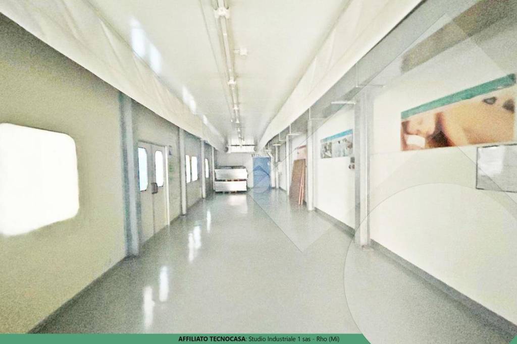 immagine annuncio 9 di 12