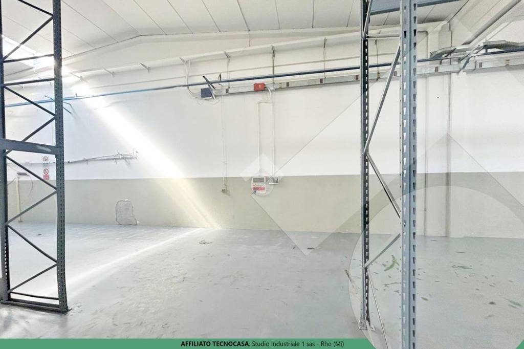 immagine annuncio 10 di 12