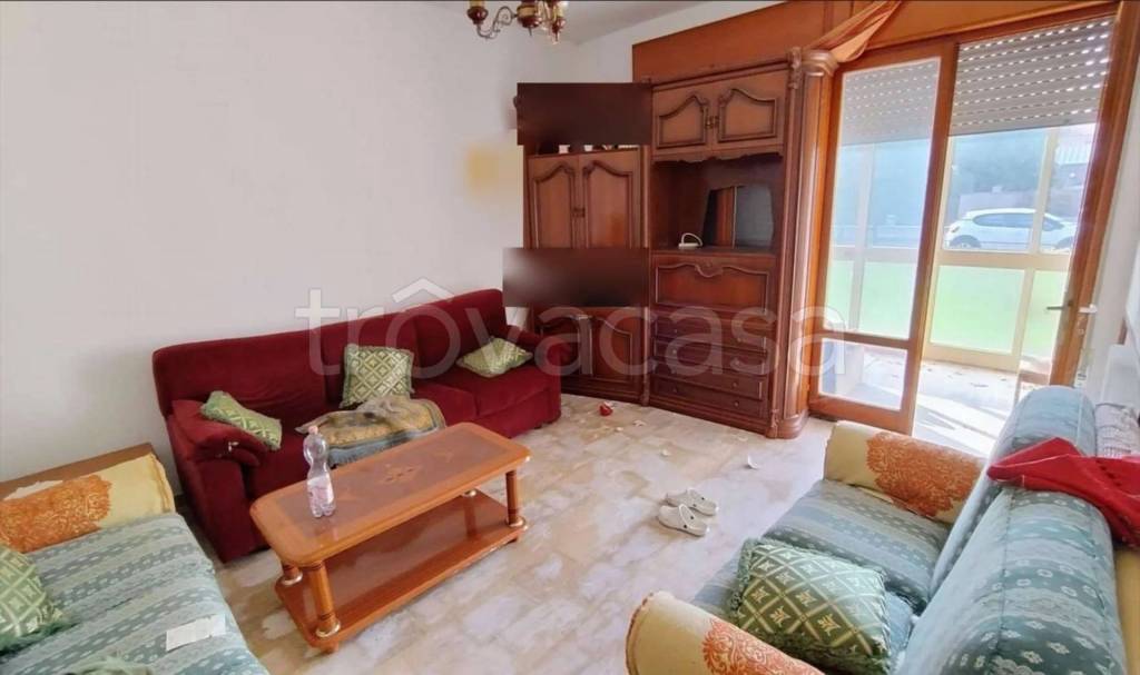 immagine annuncio 2 di 14