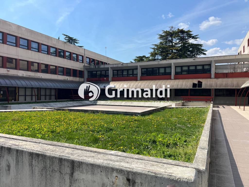 immagine annuncio 1 di 11