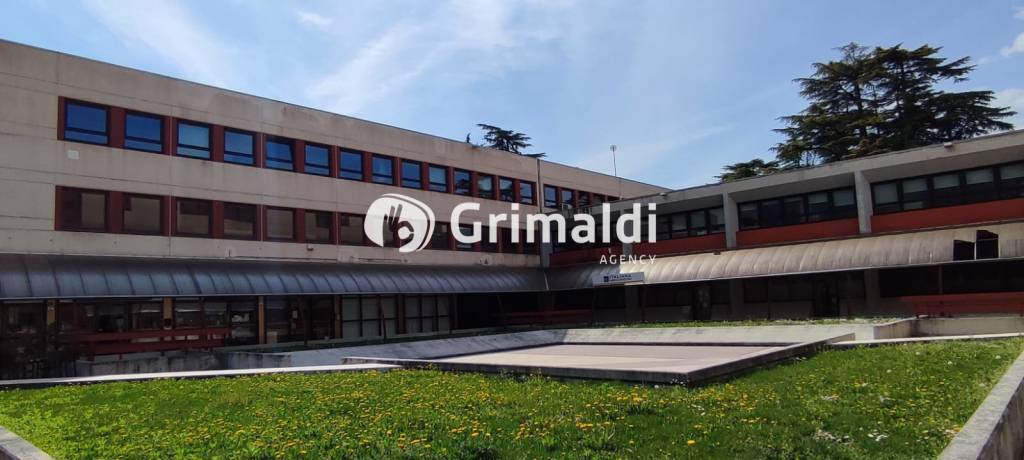 immagine annuncio 9 di 11