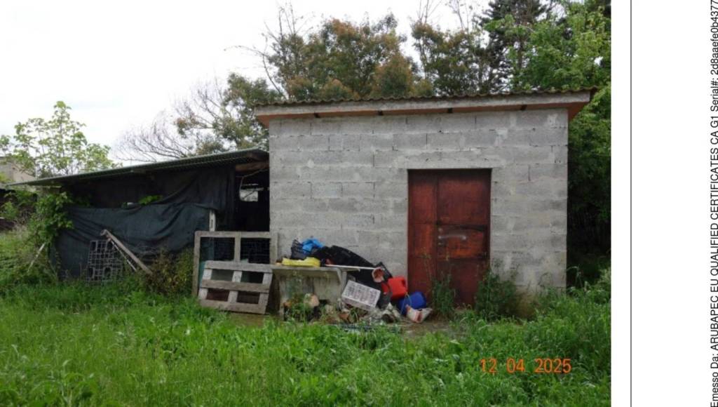 immagine annuncio 5 di 15